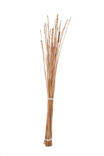 Large Buff Willow Sticks | Products | Somerset Willow Growers